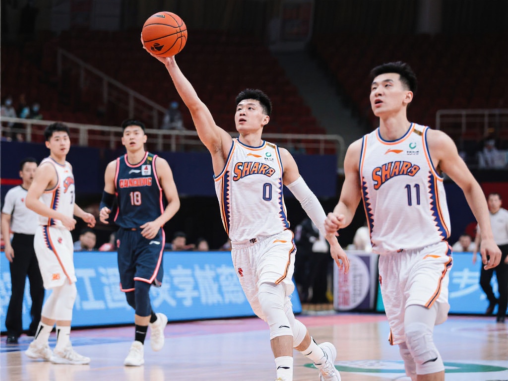 洲区预选赛 洲区预选赛